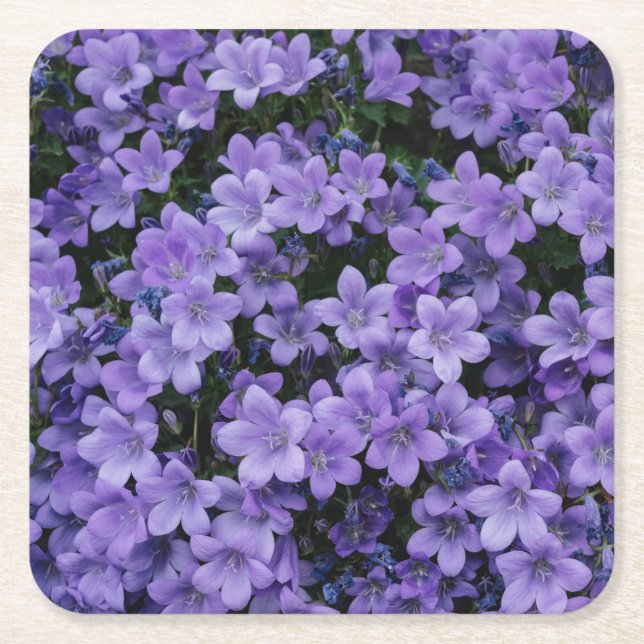 Beautiful Purple Flowers Square Paper Coaster (Front)