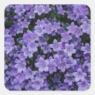 Beautiful Purple Flowers Sticker Set