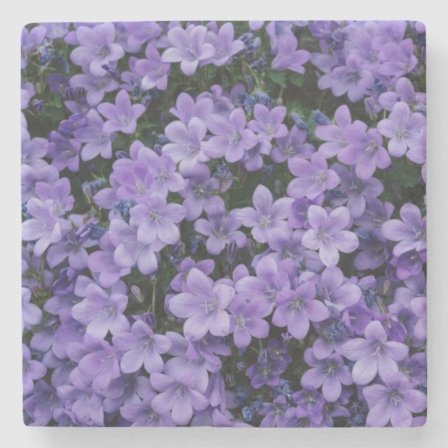 Beautiful Purple Flowers Stone Coaster (Front)