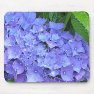 Beautiful Purple Hydrangeas Mouse Pad