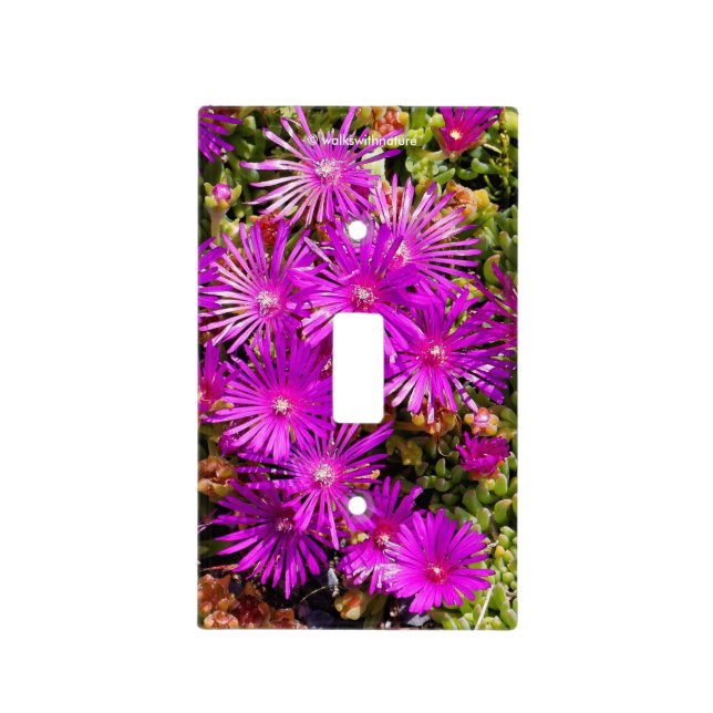 Beautiful Purple Iceplants Light Switch Cover (Front)