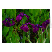 Beautiful Purple Iris (Front Horizontal)