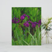 Beautiful Purple Iris (Standing Front)