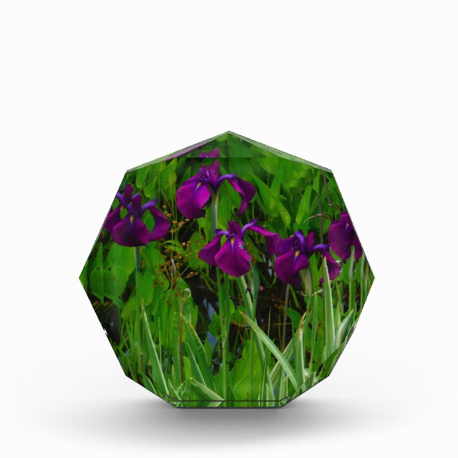 Beautiful Purple Iris Acrylic Award (Front)