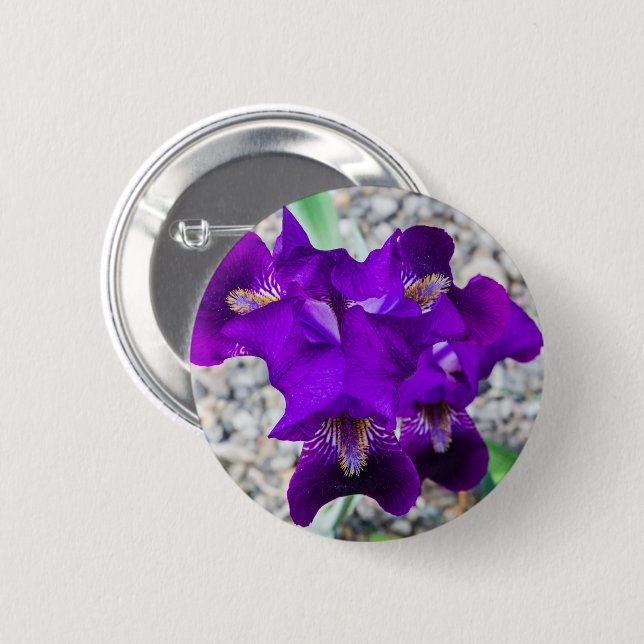Beautiful purple iris button (Front & Back)