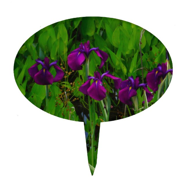 Beautiful Purple Iris Cake Topper (Front)