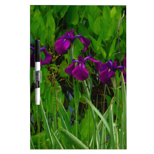 Beautiful Purple Iris Dry Erase Board (Front)
