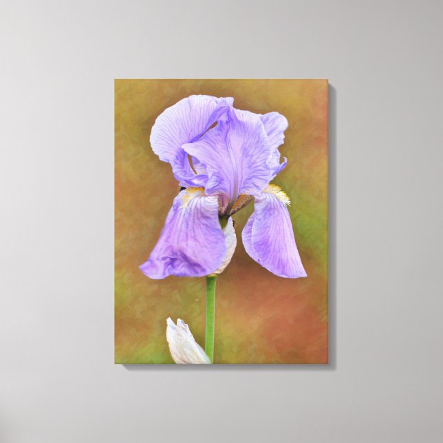 Beautiful Purple Iris Flower Art Canvas Print (Front)