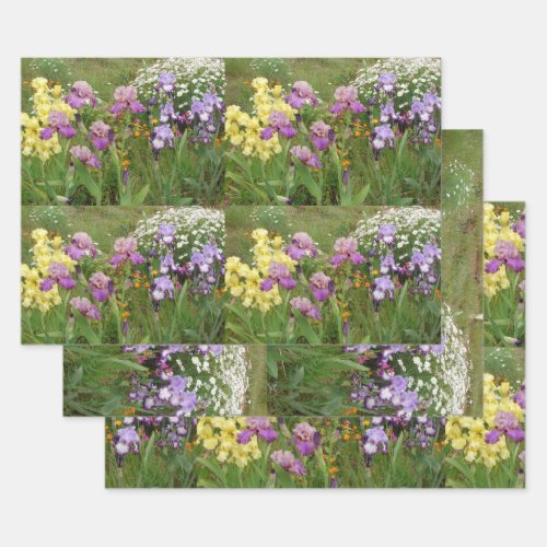 Beautiful Purple Iris Flower floral Garden Irises Wrapping Paper Sheets