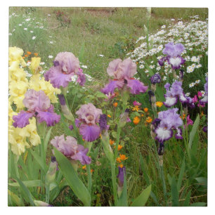 Beautiful Purple Iris Flower floral Photo Ceramic Tile