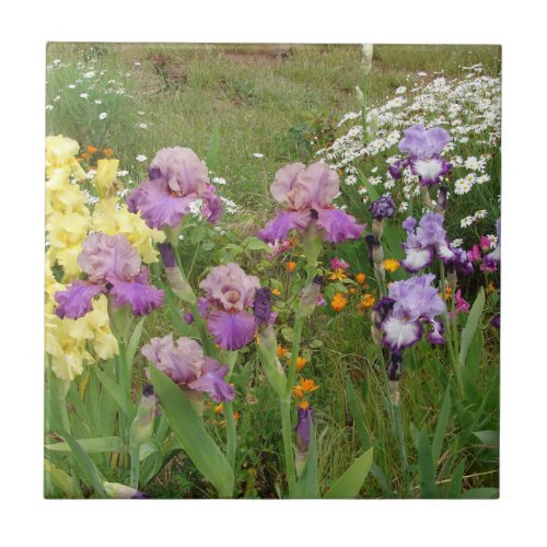 Beautiful Purple Iris Flower floral Photo Ceramic Tile
