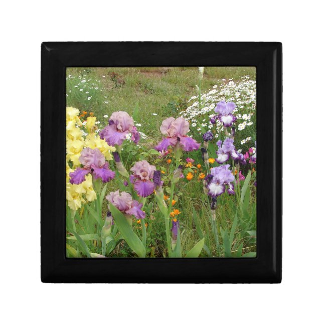 Beautiful Purple Iris Flower floral Photo Gift Box (Front)