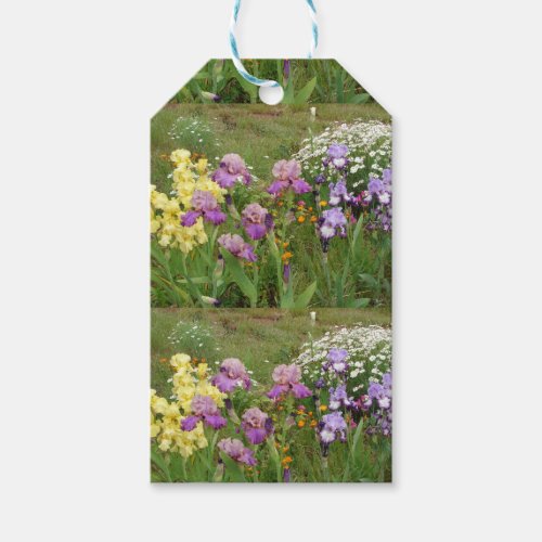 Beautiful Purple Iris Flower floral Photo Gift Tags