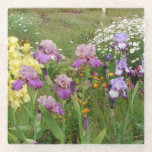Beautiful Purple Iris Flower floral Photo Glass Coaster<br><div class="desc">Beautiful Purple Iris Flower floral Photo,  with a fully customizable name. An original photo taken form my own garden.</div>