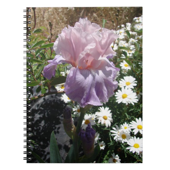 Beautiful Purple Iris Flower floral Photo Notebook (Front)
