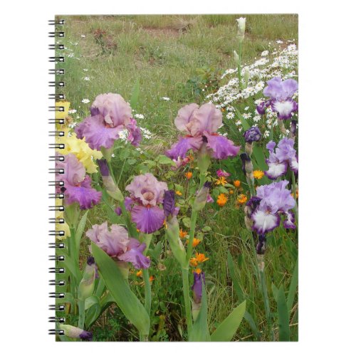 Beautiful Purple Iris Flower floral Photo Notebook