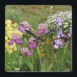 Beautiful Purple Iris Flower floral Photo Square Wall Clock<br><div class="desc">Beautiful Purple Iris Flower floral Photo,  with a fully customizable name. An original photo taken form my own garden.</div>