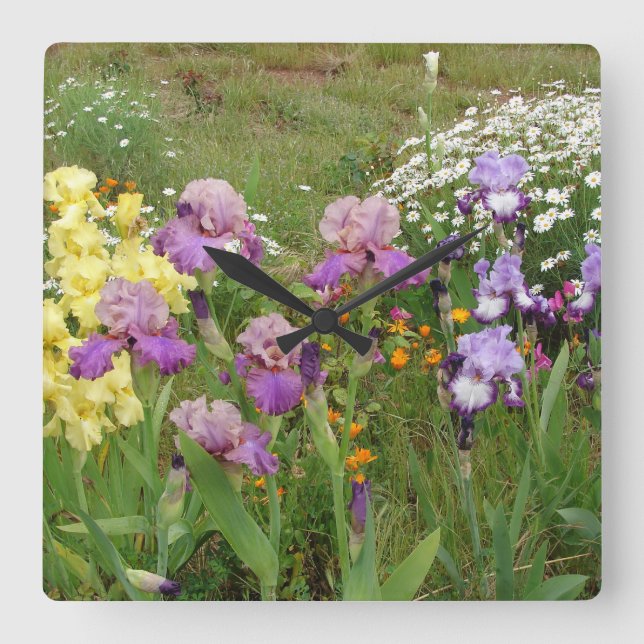 Beautiful Purple Iris Flower floral Photo Square Wall Clock (Front)