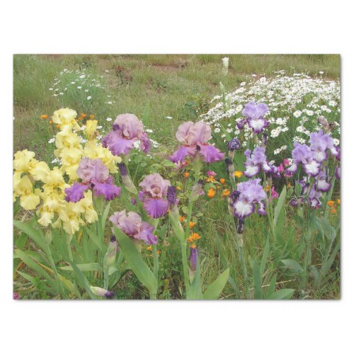 Beautiful Purple Iris Flower floral Photo Tissue Paper