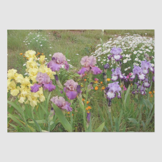 Beautiful Purple Iris Flower floral Photo Tissue Paper (Front)