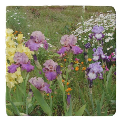 Beautiful Purple Iris Flower floral Photo Trivet