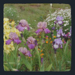 Beautiful Purple Iris Flower floral Photo Trivet<br><div class="desc">Beautiful Purple Iris Flower floral Photo,  with a fully customizable name. An original photo taken form my own garden.</div>