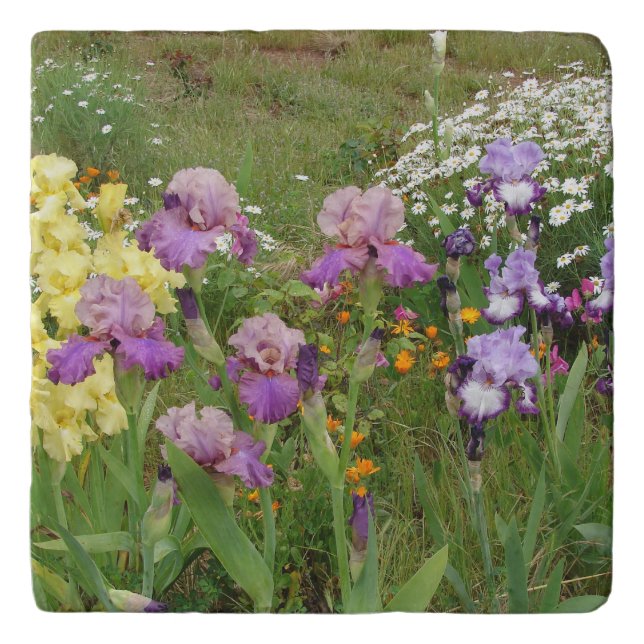 Beautiful Purple Iris Flower floral Photo Trivet (Front)