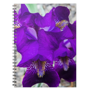 Beautiful purple iris notebook