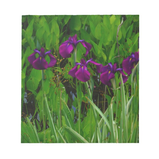 Beautiful Purple Iris Notepad (Front)