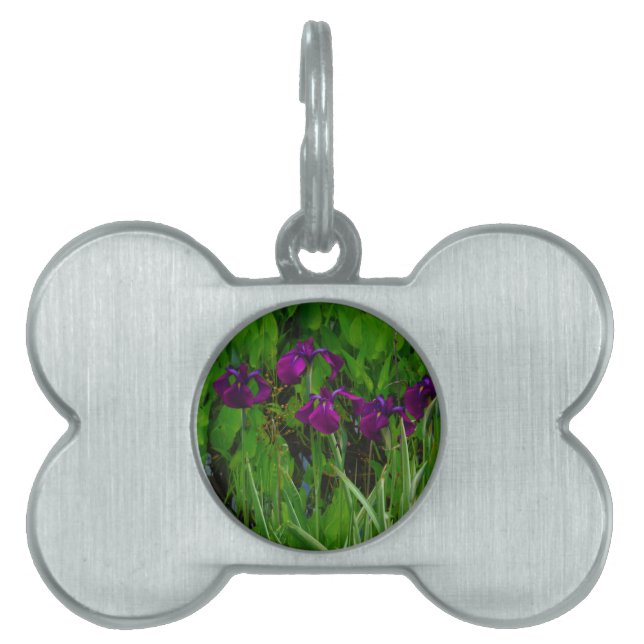 Beautiful Purple Iris Pet Name Tag (Front)