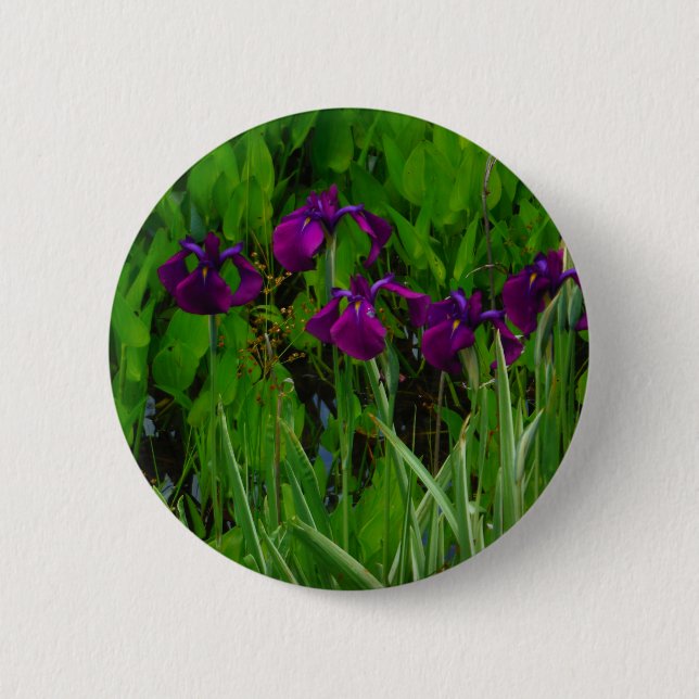 Beautiful Purple Iris Pinback Button (Front)