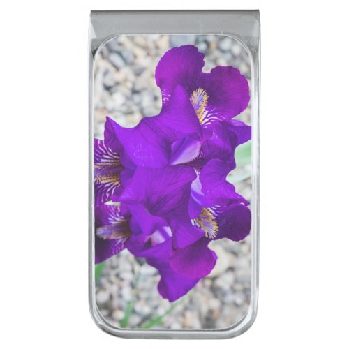 Beautiful purple iris silver finish money clip