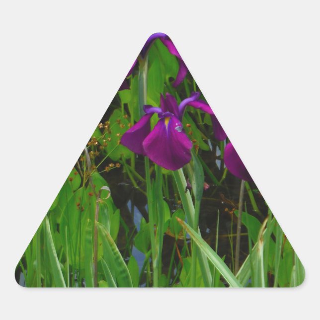 Beautiful Purple Iris Triangle Sticker (Front)
