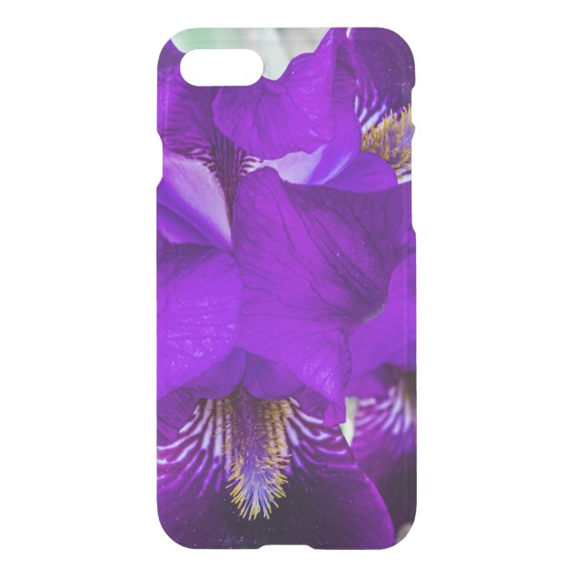 Beautiful purple iris uncommon iPhone case (Back)