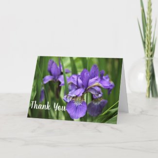 Beautiful Purple Irises Thank You Card