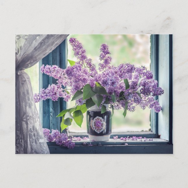 Beautiful Purple Lilac Flowers in the Vase  Postcard (Front)