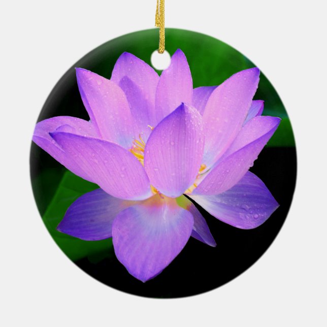 Beautiful purple lotus flower in water ceramic ornament (Back)