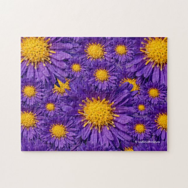 Beautiful Purple Michaelmas Daisies Jigsaw Puzzle (Horizontal)