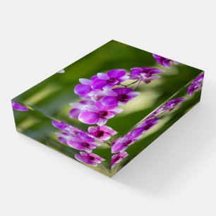 Beautiful Purple Orchid Paperweight