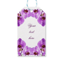 Beautiful purple orchids phalaenopsis