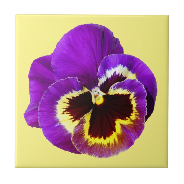 Beautiful purple pansy ceramic tile (Front)