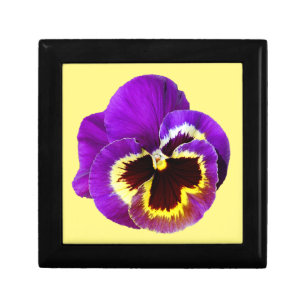 Beautiful purple pansy gift box
