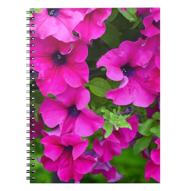 Beautiful purple petunias print notebook (Front)