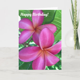 Plumeria Cards | Zazzle