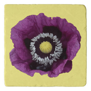 Beautiful purple poppy trivet