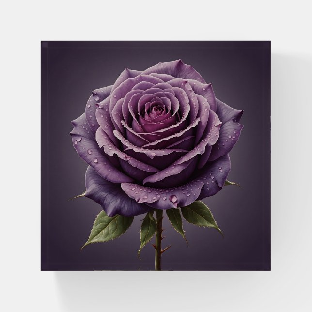 Beautiful purple rose paperweight (Front)