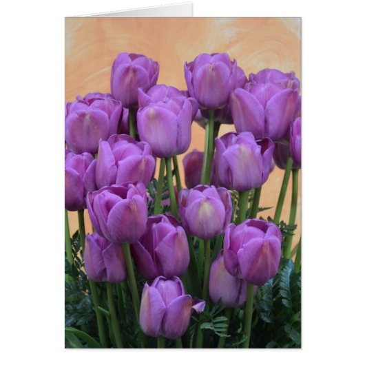 Beautiful purple spring tulips cards (Front)