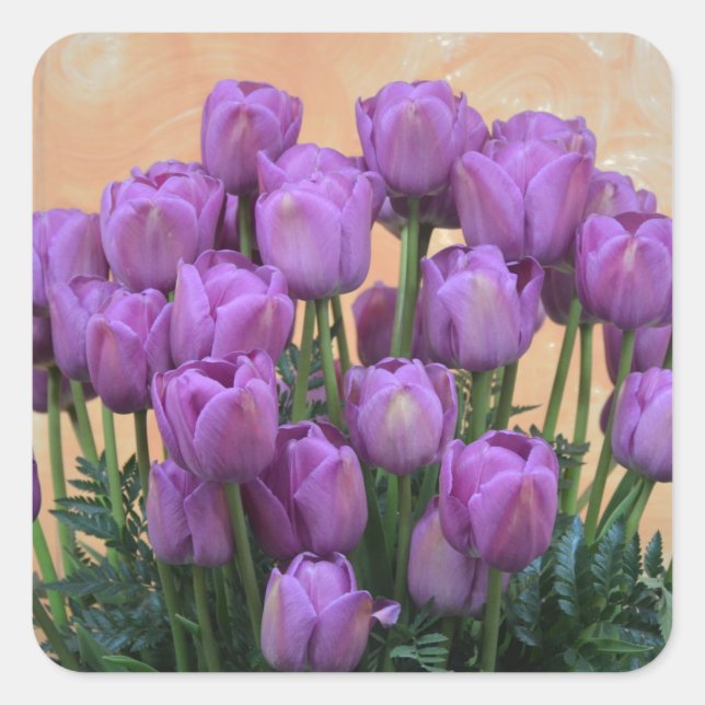 Beautiful purple spring tulips square sticker (Front)