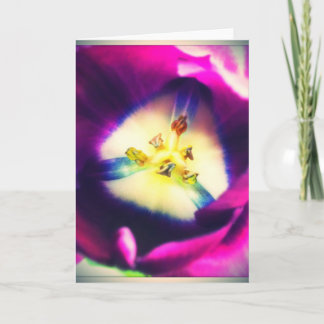 Beautiful Purple Tulip Blank Greeting Card