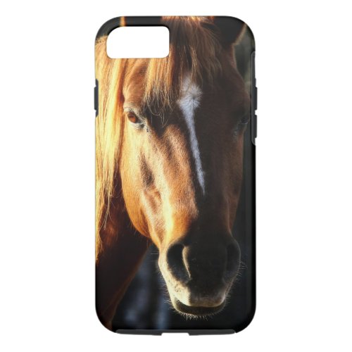 Beautiful Quarter_horse Pony Portrait iPhone 87 Case